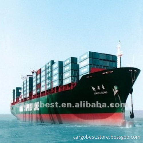 shipping company from ningbo to Douala